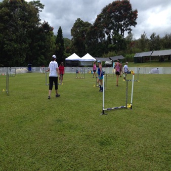 Orchid Isle Dog Agility - Papaikou, HI Orchid Isle Dog Agility - Papaikou, HI