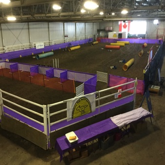 PAWSitiveDogSports
ColdLake_Alberta2 PAWSitiveDogSports
ColdLake_Alberta2