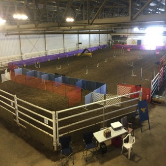 PAWSitiveDogSports
ColdLake_Alberta PAWSitiveDogSports
ColdLake_Alberta